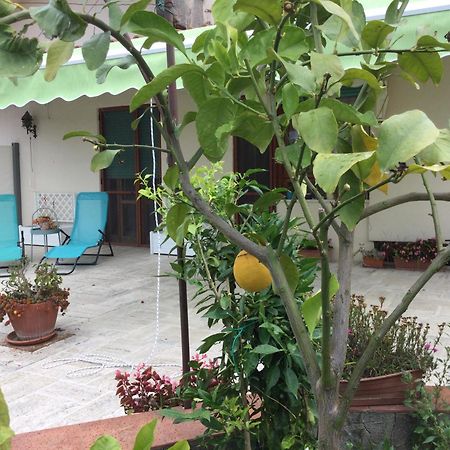 Oplontis' Garden - Holiday Apartment Near Pompeii Torre Annunziata Exterior photo